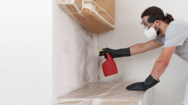 Professional Attic Mold Remediation technician working in Jenkintown, PA