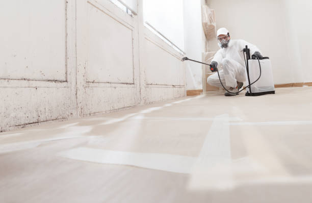 24/7 Emergency Attic Mold Remediation experts in Jenkintown, PA